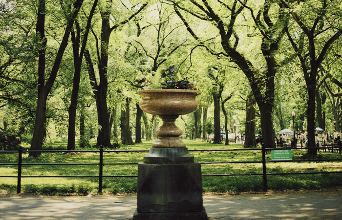 鉢植えのオブジェ